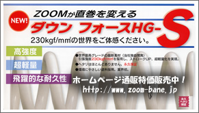 ダウンサスのズーム（ZOOM） | 商品紹介